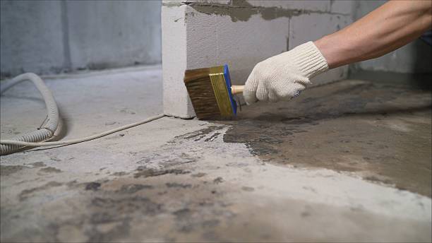 SJ Waterproofing Pros Sump Pump Installation coverage map for Ashley, MI and surrounding area